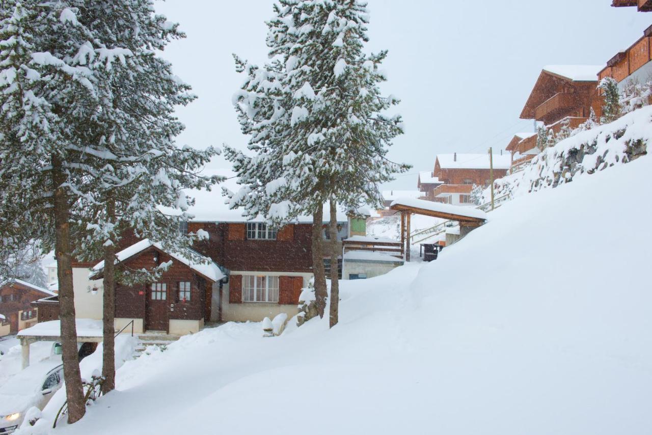 Studio Avec Sauna - 300M Des Pistes Leysin Exteriör bild