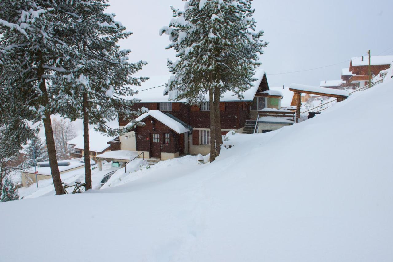 Studio Avec Sauna - 300M Des Pistes Leysin Exteriör bild