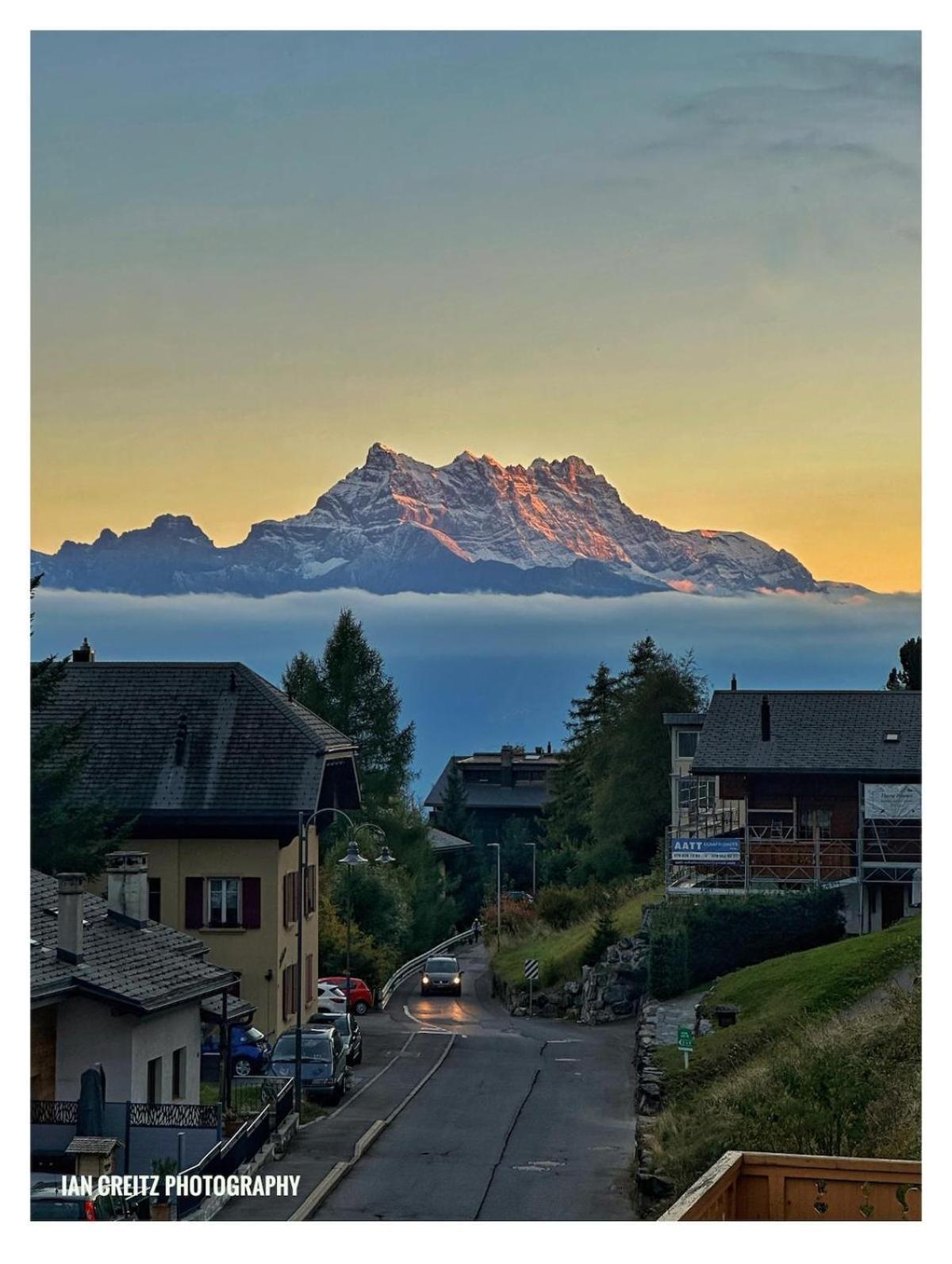 Studio Avec Sauna - 300M Des Pistes Leysin Exteriör bild